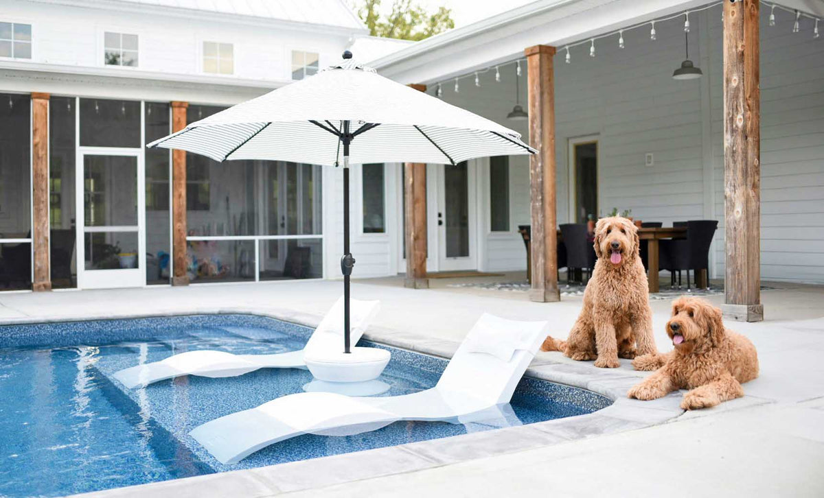 White Signature Chaises and an umbrella on a shallow pool ledge with two dogs poolside